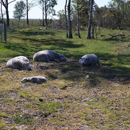 6 Person In Feriehus *