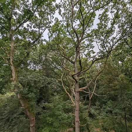 6 Person In * Hadsund